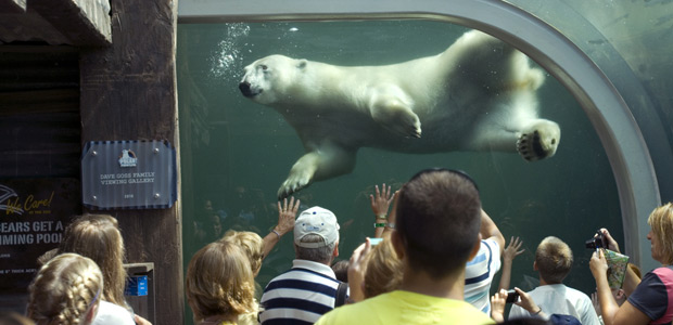 Zoo