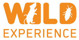 Wild Experience