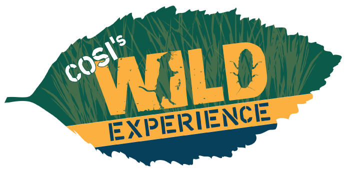 COSI's Wild Experience