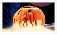 Pumpkin Patch Science